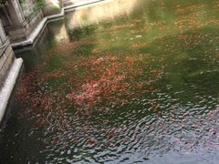 -普陀山风景名胜区-法雨禅寺