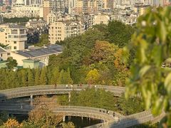 -福道