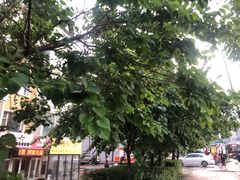 -长春公园(普阳街道)