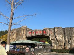 -合肥野生动物园