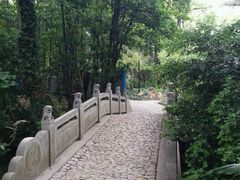 -汇龙潭