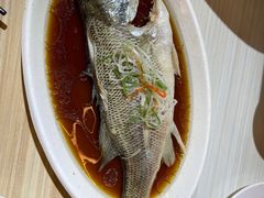 -台北楚楚园馅饼粥(虹桥南丰城店)