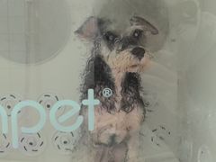 -瑞派康怡24h宠物医院·犬猫医疗中心·微创绝育(瑞景分院)