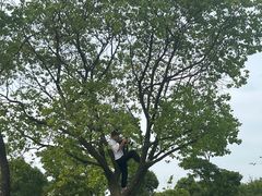 -瑶湖郊野森林公园