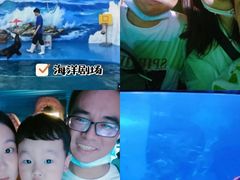 -左海海底世界