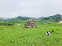 -关山草原