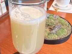 雪梨汁-觀芷隐轩