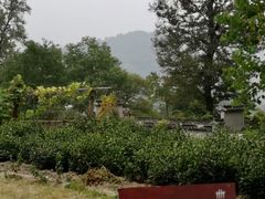 -塔川景区