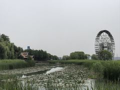 -苏州太湖湖滨国家湿地公园