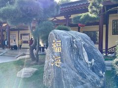 -庐山风景名胜区-东林大佛