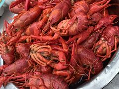 龙虾-古彭7只羊·招牌白串·碳锅羊肉旗舰店