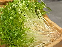 -阳坊胜利涮羊肉(阳坊总店)