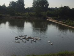 景点-汤山温泉房车营地 茶温泉