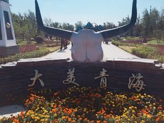 -武清南湖绿博园