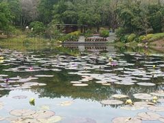 -云溪植物园