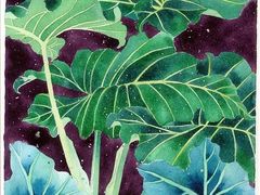 -信马画室 成人零基础到个人创作画室(亚运村店)