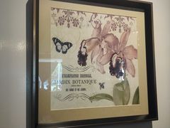 -花舍·新派粤菜·西餐·下午茶(亚运村·鸟巢店)