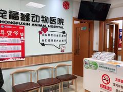 -宠福鑫动物医院(城北分院)