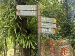 -深圳仙湖植物园