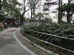 -华山儿童公园