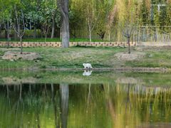 -大兴滨河森林公园