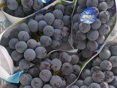 -马陆小张葡萄园农家乐