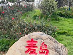 -南京大牌档(青岛万象城店)
