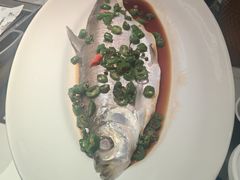 -绿茶餐厅(滨海万达广场店)