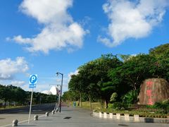 -野狸岛