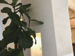 -Me Coffee下午茶艺术空间