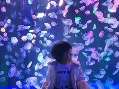 -海合安成都极地海洋公园