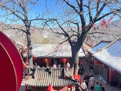 -五台山风景名胜区