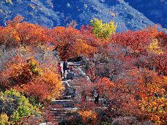 -周口店坡峰岭风景区