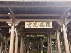 -金盆阿嬷香菇茶叶蛋(玄光店)