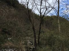 -浙北大峡谷