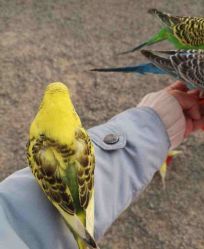 -萌宠亲子动物乐园(槐房万达店)