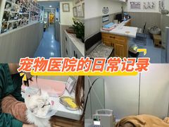 -佑安动物医院·全科·内窥镜中心(幸福巷店)