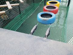 -梦幻奥陶纪景区