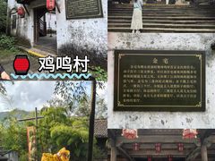 -紫藤园·天目湖大鱼头(南山竹海店)