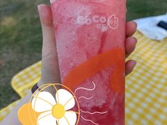 -CoCo都可(中闽嘉禾店)