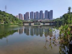-重庆彩云湖湿地公园