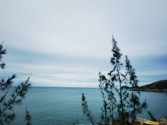 -广东惠东海龟国家级自然保护区