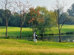 -万柳高尔夫俱乐部