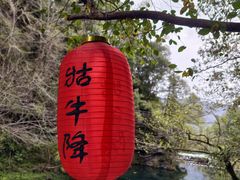 -石台牯牛降景区