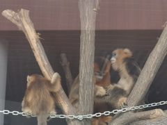 -太原动物园