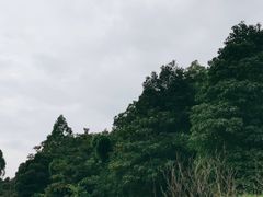 -火炉山森林公园