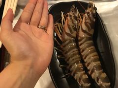 花竹虾-鲜入围煮花胶鸡海鲜火锅