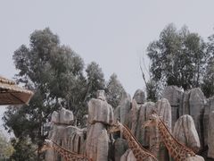 -云南野生动物园