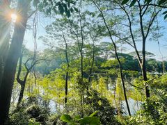 -番禺大夫山森林公园