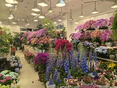 -双季花艺园艺市场(浦东店)
